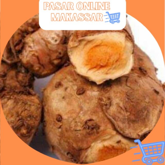 

Rempah Temulawak Mentah