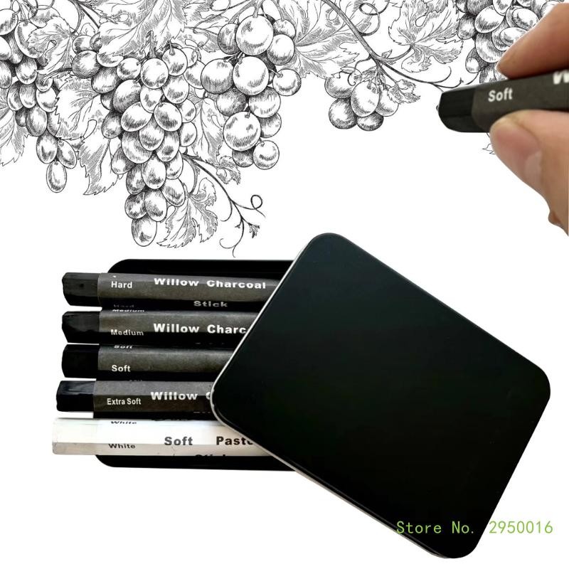 

Water Soluble Charcoal Strips Charcoal Sticks Sketching Charcoal Pencils for Sketching