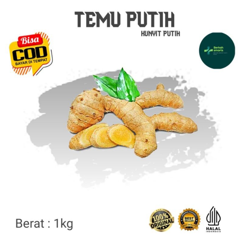 

TEMU PUTIH KUNYIT PUTIH HERBAL FRESH 1KG (B_s) (B_S) .