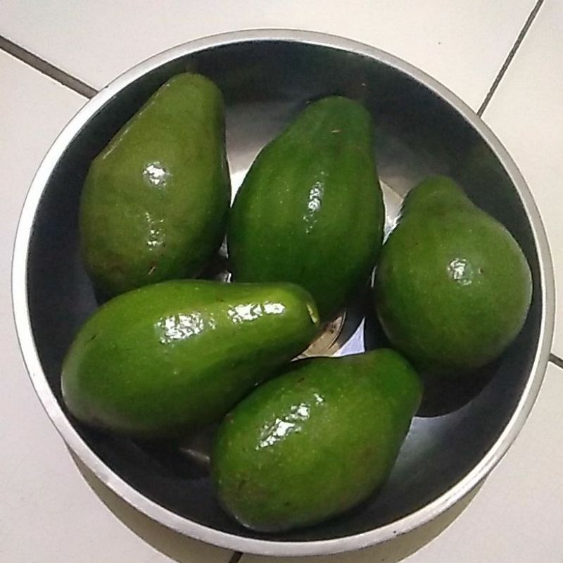 

Alpukat/Alpuket Mentega Dari Boyolali 1kg isi 2/3/4 Biji