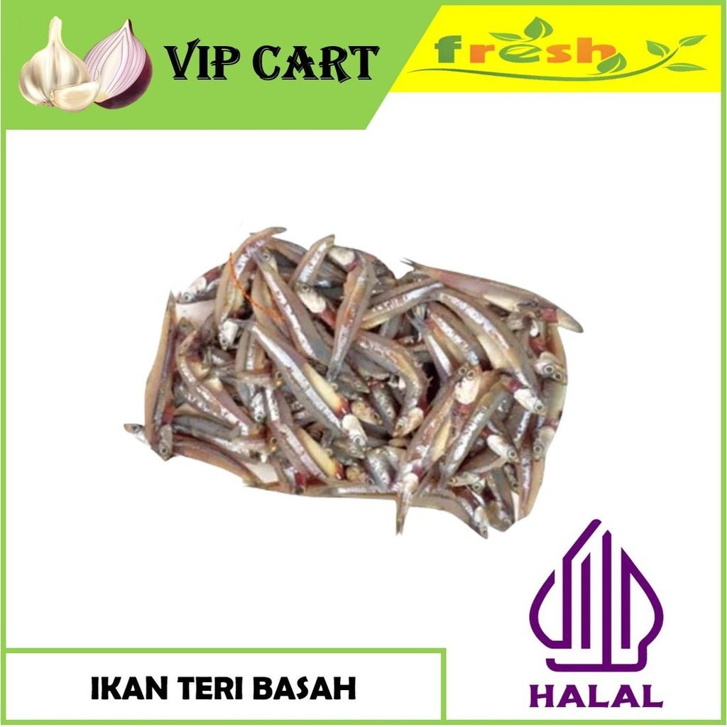 

IKAN TERI BASAH FRESH - IKAN SEGAR