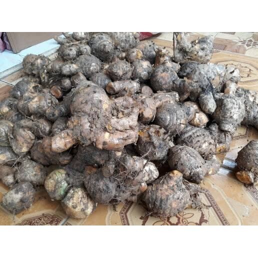 

AZ temulawak/koneng gede/kunyit/temulawak segar 1kg ⠀⠀⠀⠀⠀ KC