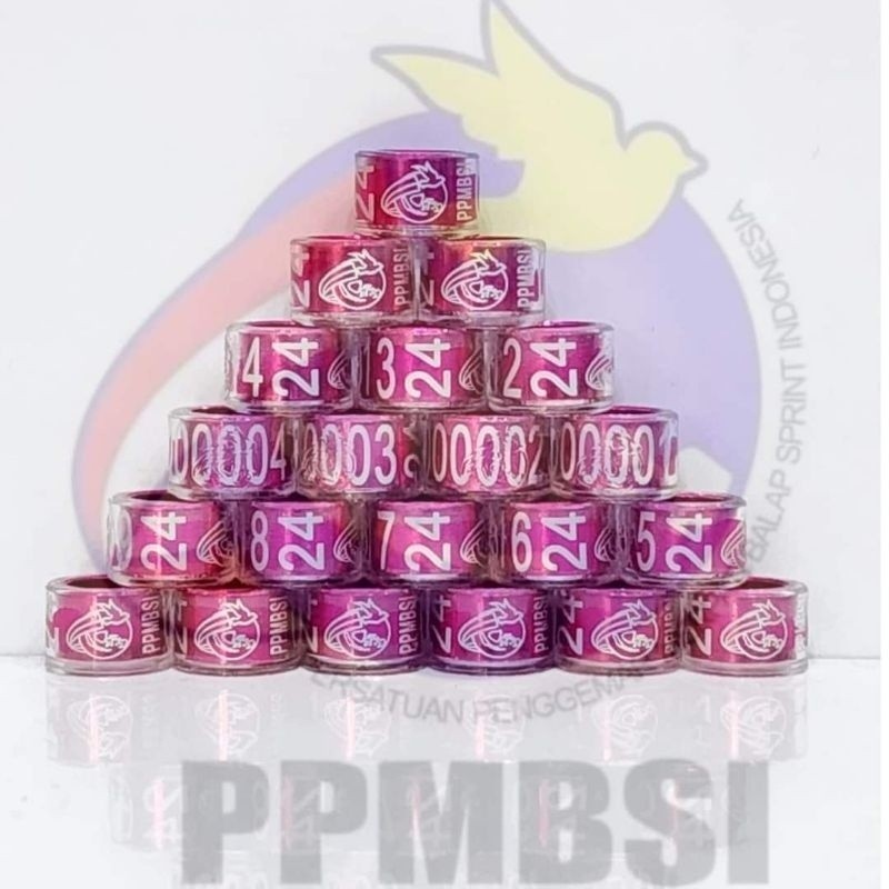 Arjunawiwaha17 Ring Merpati Pusat Ppmbsi 2026/2026Ring Jatim 2026 Original ..