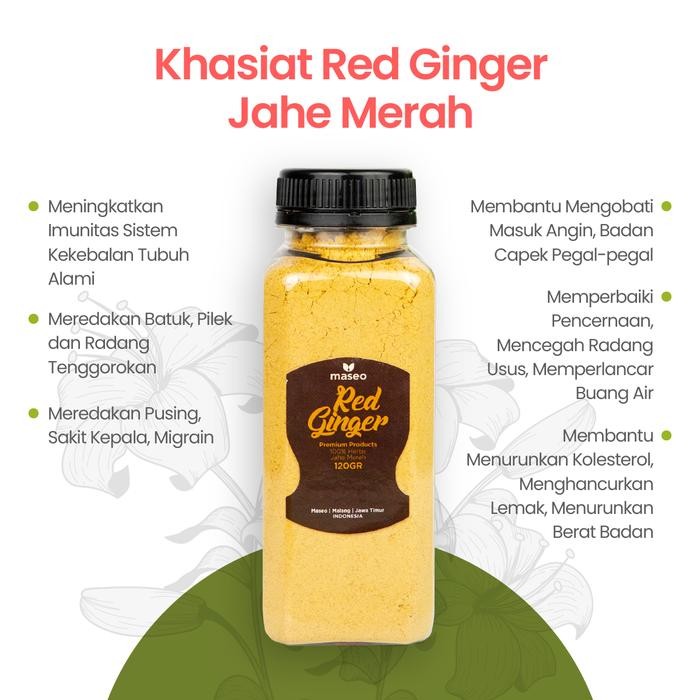 

Dijual Bubuk Jahe Merah Maseo Red Ginger 120gr Bubuk Organik Alami - 120gr Terlaris Tbk