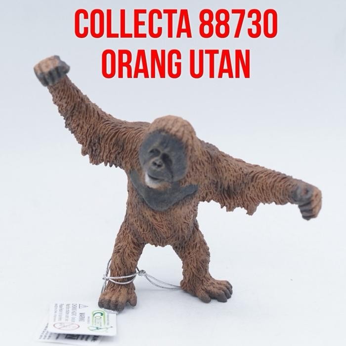 Collecta 88730 OrangUtan Orang Utan Pongo Mainan Binatang Miniature Hewan Animal Figurine Pajangan A