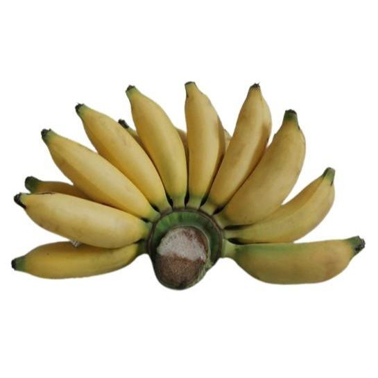 

PISANG LAMPUNG PER BUNGKUS - BUAH SEGAR
