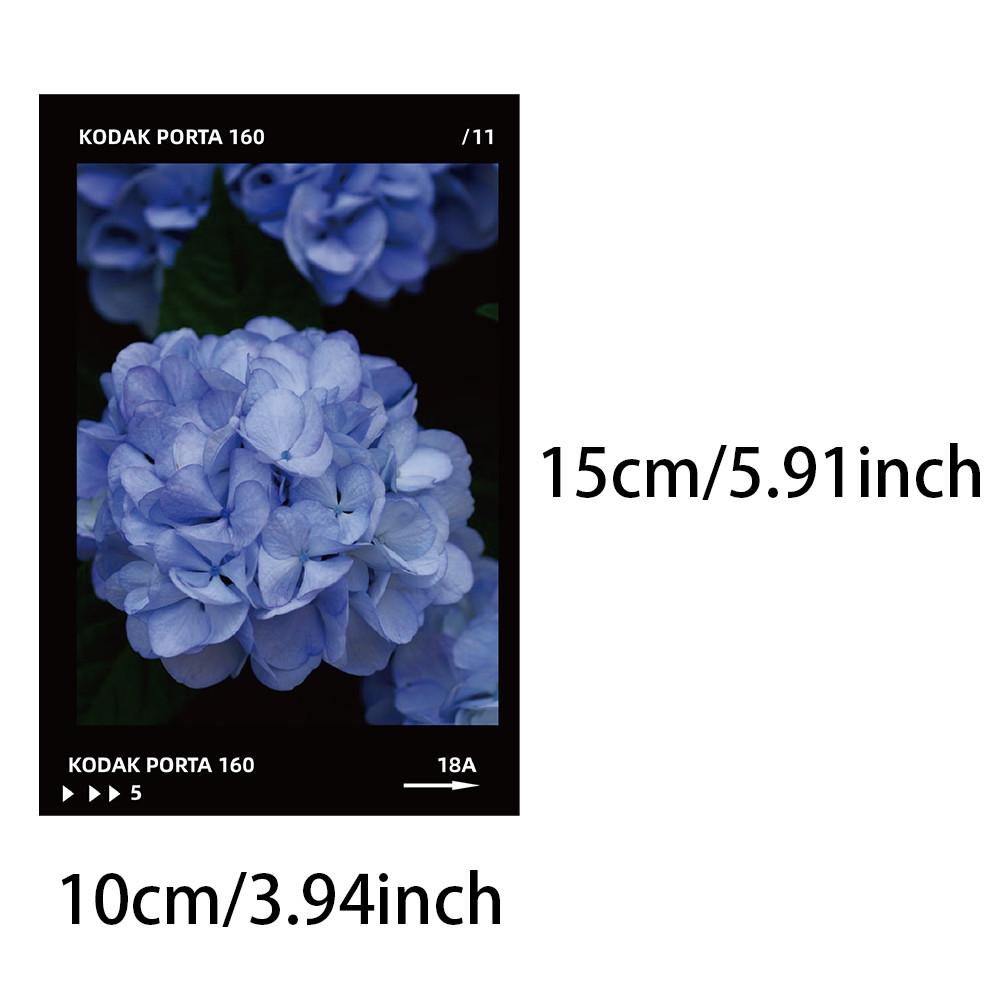 

10pcs film style card romantic floral atmosphere feeling postcard ni e premium DIY desktop wall dormitory room decoration