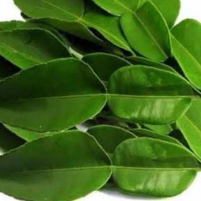 

Daun Jeruk Segar Baru 20gr