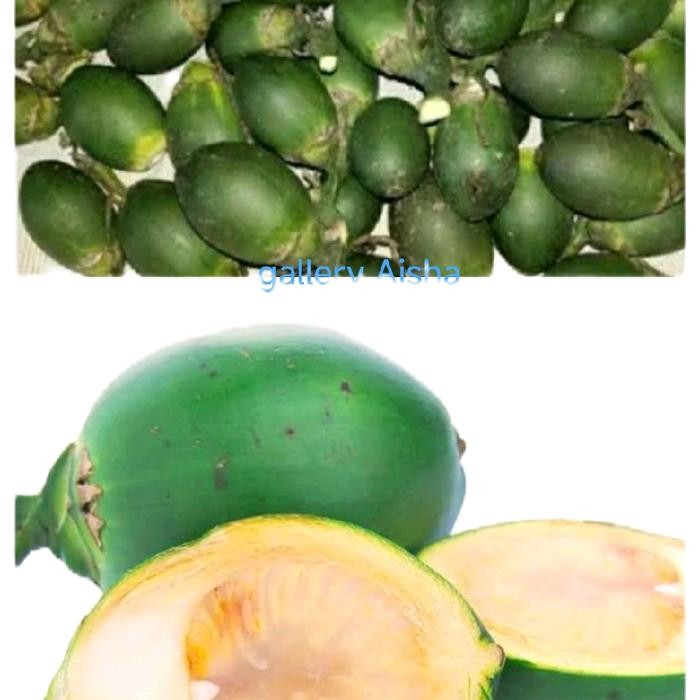 

Ready stok buah pinang ceming Buah Pinang Muda 1 kg, Pinang atau jambe muda berkhasiat Food