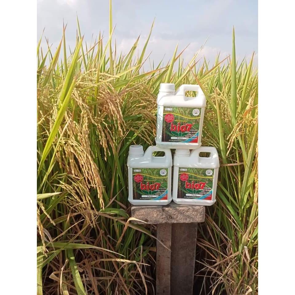 Pupuk Bio7 Organik Padi Bioaktivator Hayati Kemasan 1 Liter Alami Penyubur Padi Co