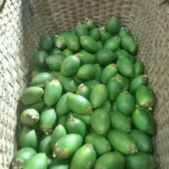 

Ready stok Buah pinang muda segar 1kg