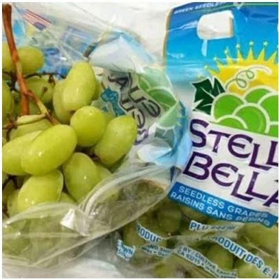 

BUAH ANGGUR HIJAU USA STELLA BELLA SEDLES 500gr