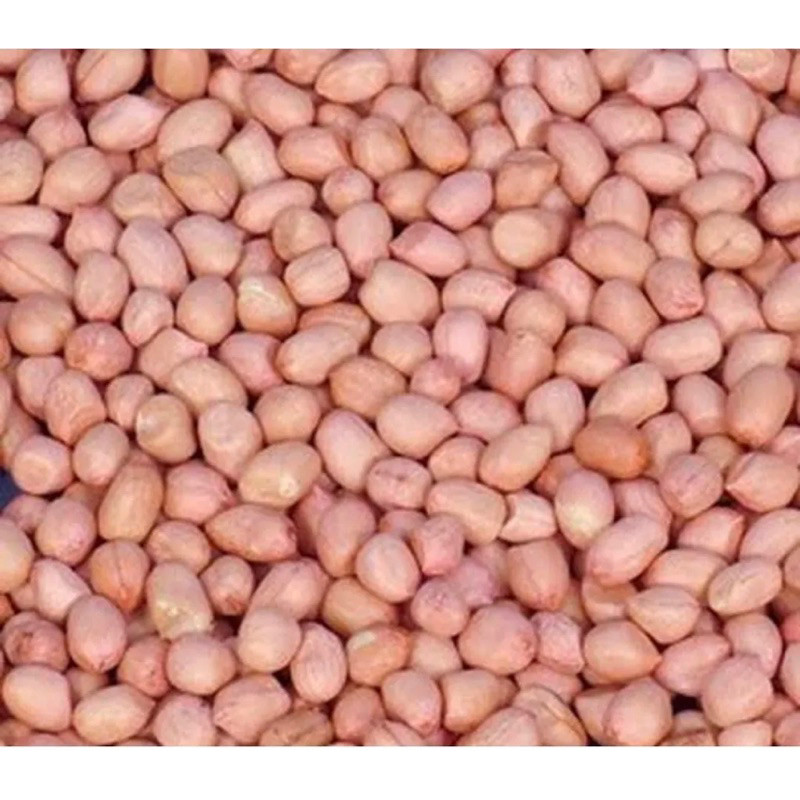 

Kacang Tanah Tuban Asli 100% 1KG Rasa Manis