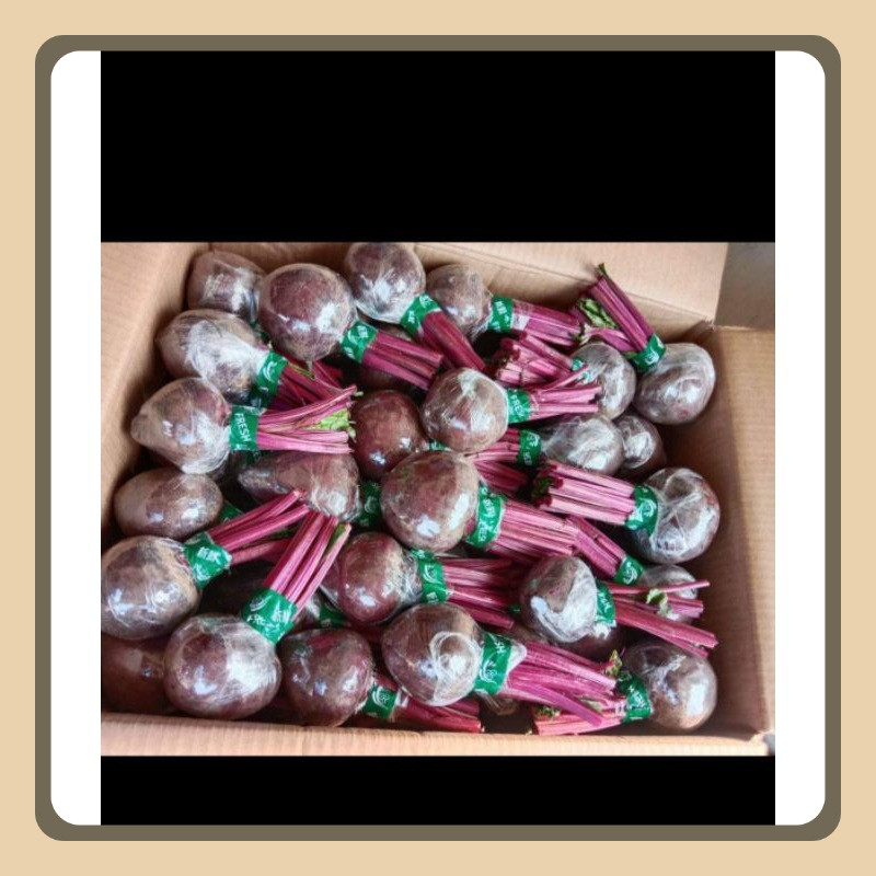 

Buah Bit Segar 1kg Kaya Nutrisi Tinggi