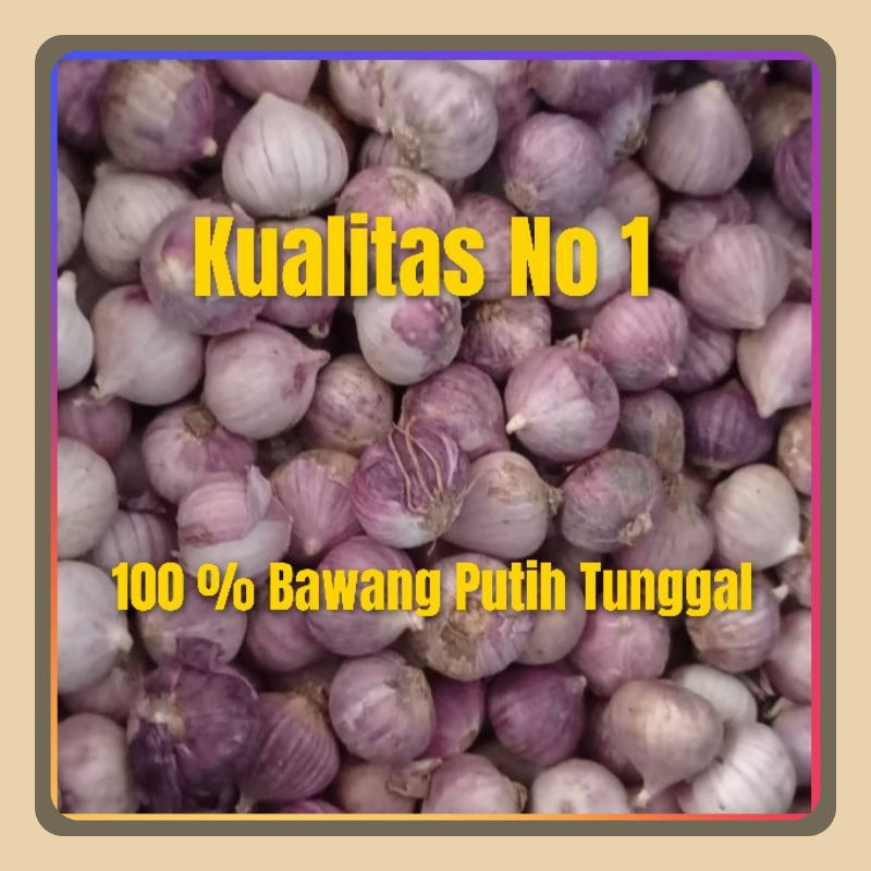

Bawang putih tunggal / 1 kg tresno bawang