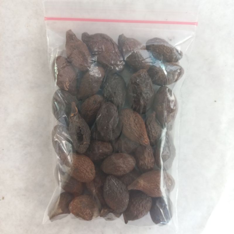 

MURAH Biji Tempayang/Kembang Semangkuk 25gr