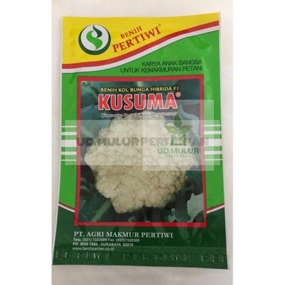 JAMIN MURAH !!!benih bunga kol dataran rendah hibrida F1 KUSUMA isi 10gr dari pertiwi(BISA LANGSUNG 