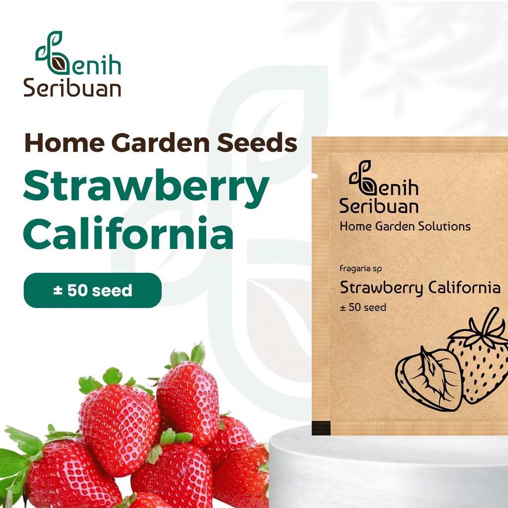 Benih Seribuan - Benih Buah Strawberry California Unggul