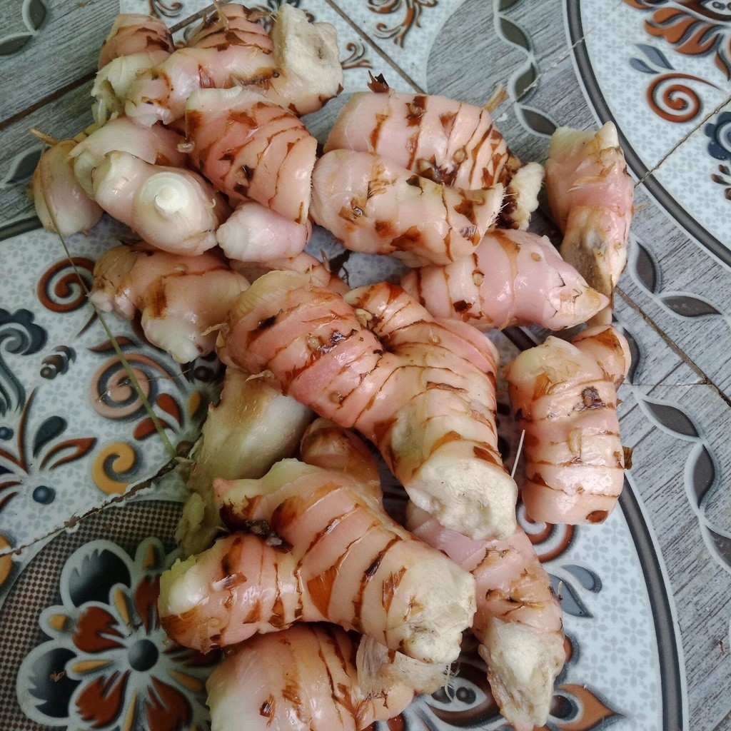 

lengkuas segar bersih berkualitas1kg