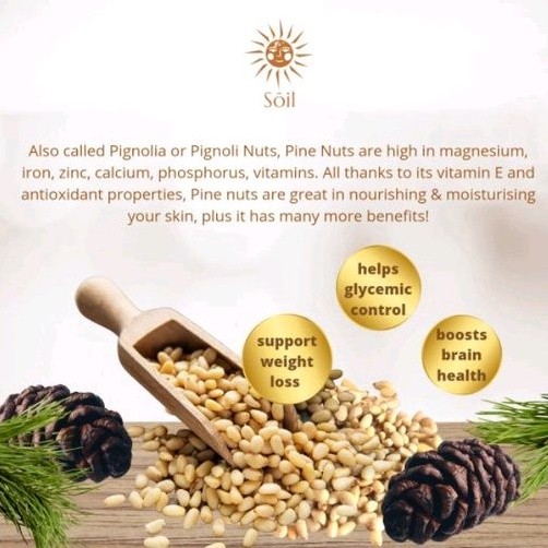 

Pine Nuts - Kacang Pinus - Biji Pignolia Raw Organic 100gr