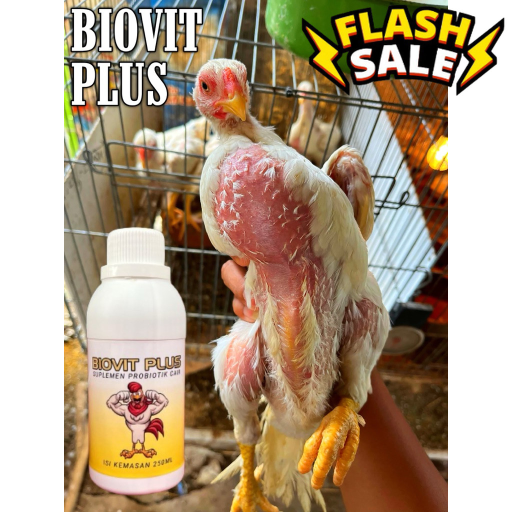 Vitamin Ayam Bangkok filipina Biovit Plus probiotik unggas tumbuh sehat nafsu makan tinggi