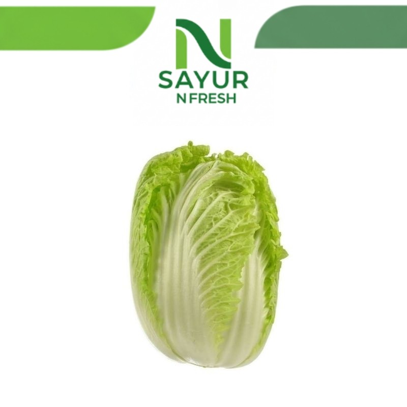 

SAWI PUTIH KECIL 1 BUAH