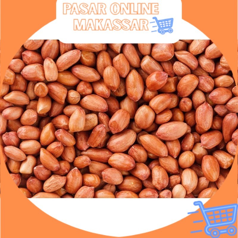 

Kacang Tanah