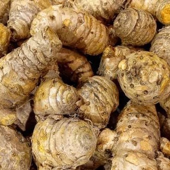 

Biang Temulawak Segar Fresh 250gr 500gr 1000gr / 1kg Bumbu Dapur Rempah-rempah Empon-empon Rimpang Curcuma Zanthorrhiza - 250gr