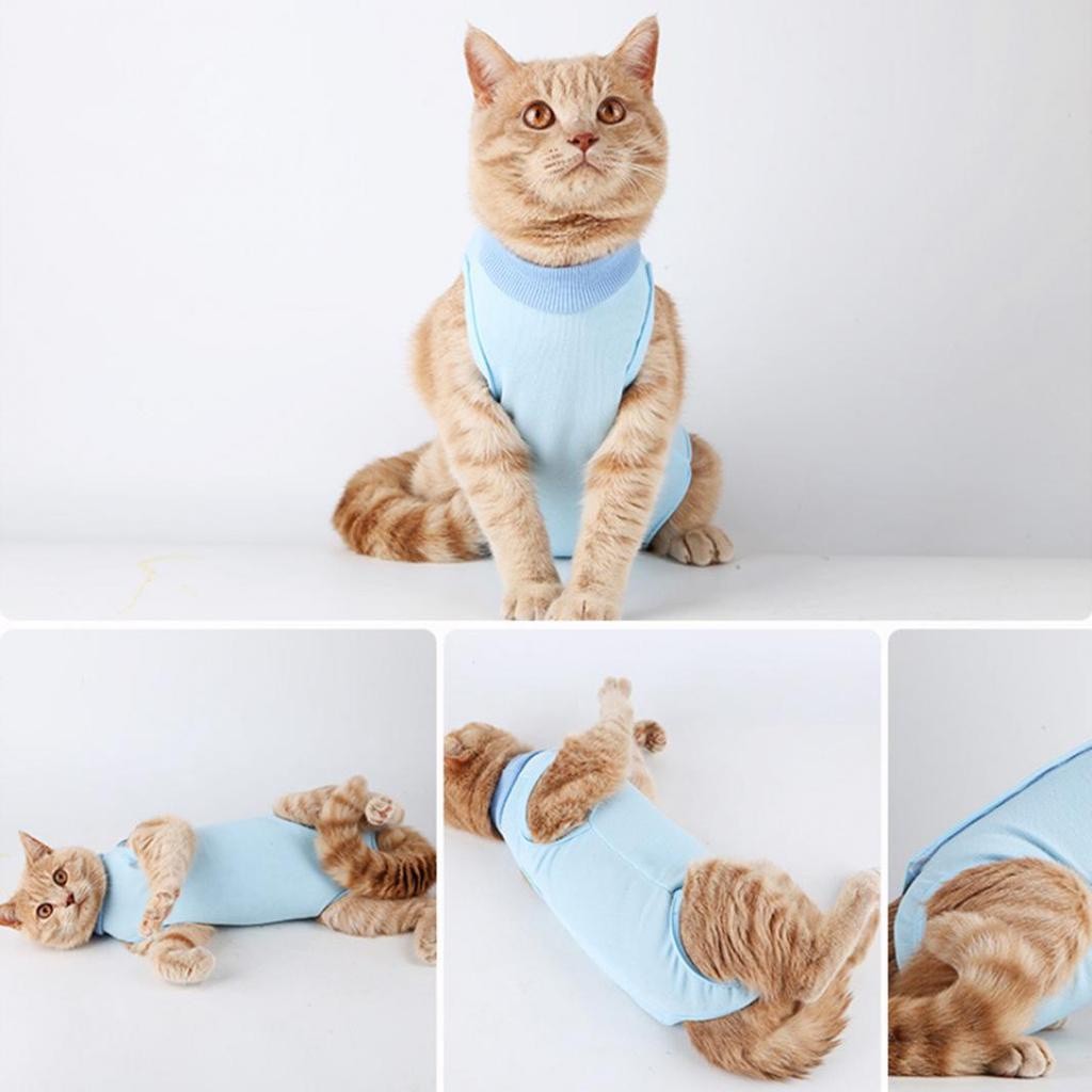 Baju Kucing & Anjing Untuk Recovery / Baju Steril Kucing Betina / Baju Pasca Operasi untuk Kucing An