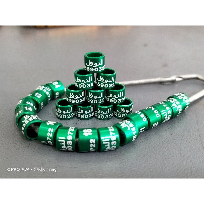 | RING BURUNG SPESIAL MURAIBATU PERKUTUT PUTER PELUNG  MERPATI DLL .