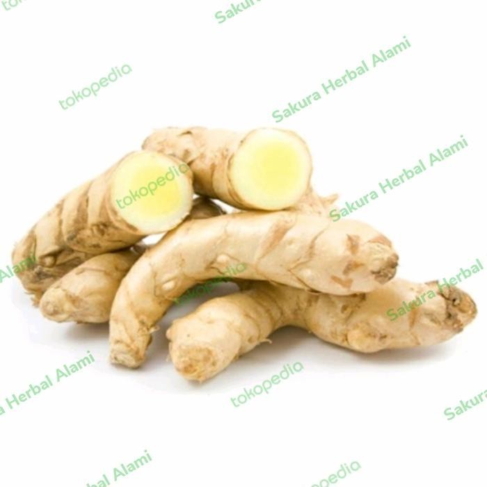 

promo kunyit putih segar 250gram ready