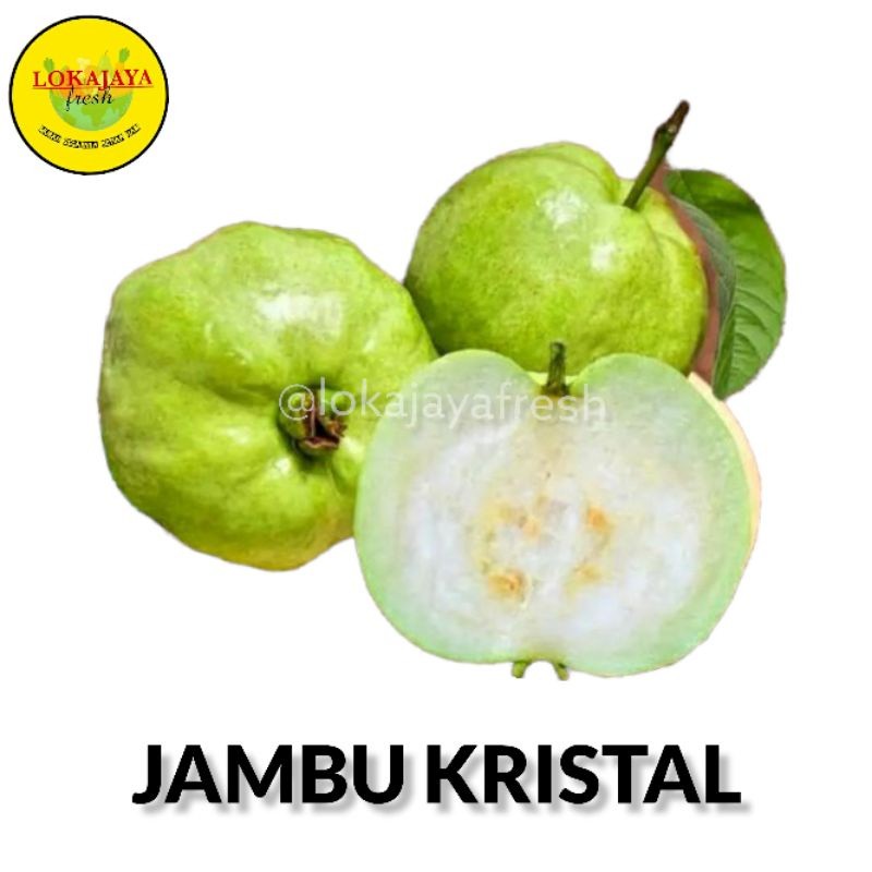 

Jambu Kristal Manis Tanpa Biji 1 Kg