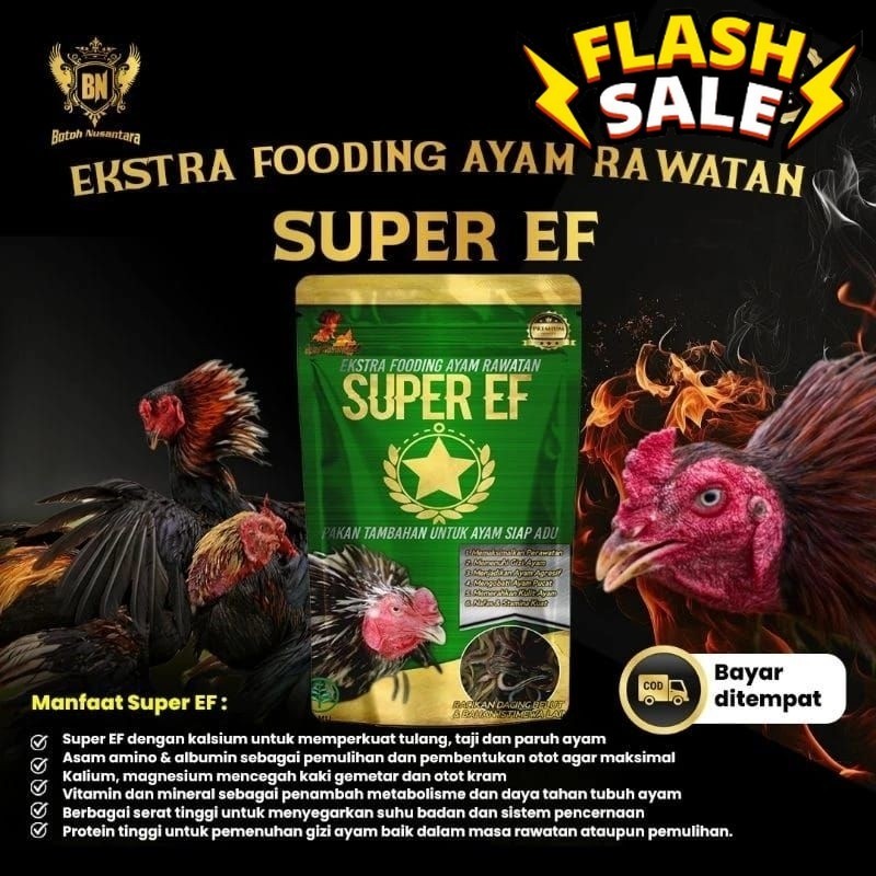 suplemen Ayam Adu Lincah ekstra fooding rawatan SUPER EF DAGiING BELUT memenuhi kebutuhan vitamin pr