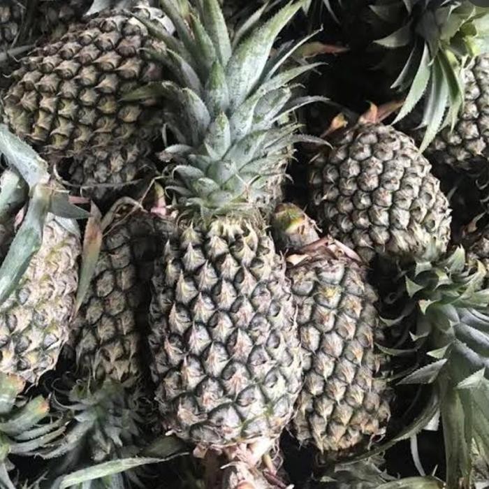 

Nanas Lampung 1 Buah