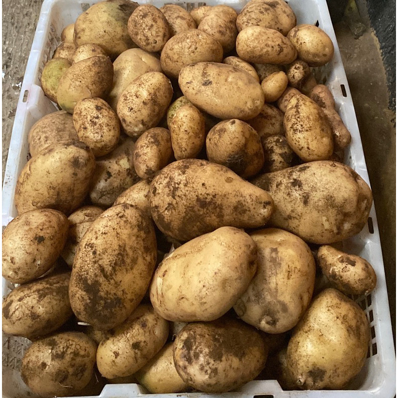 

DISKON GILA Kentang Dieng Asli 1kg Daya Tahan Simpan Tinggi