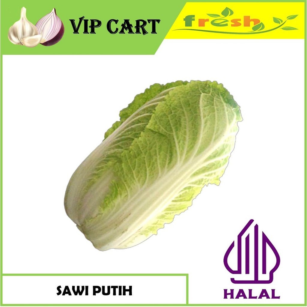 

SAYUR SAWI PUTIH FRESH MURAH - VIP SAYUR