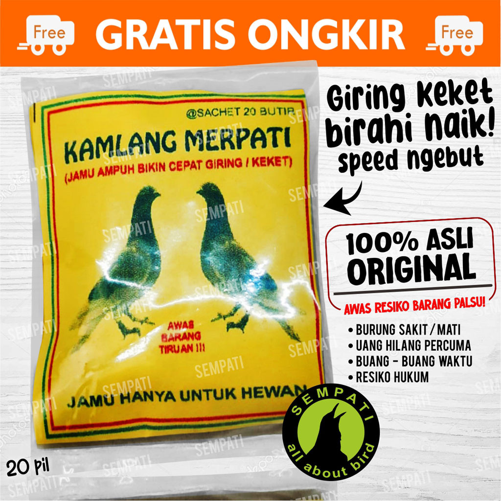 SEMPATI KAMLANG MERPATI JAMU CEPAT GIRING BURUNG MERPATI BALAP OBAT JAMU CEPAT KEKET MERPATI KOLONGA