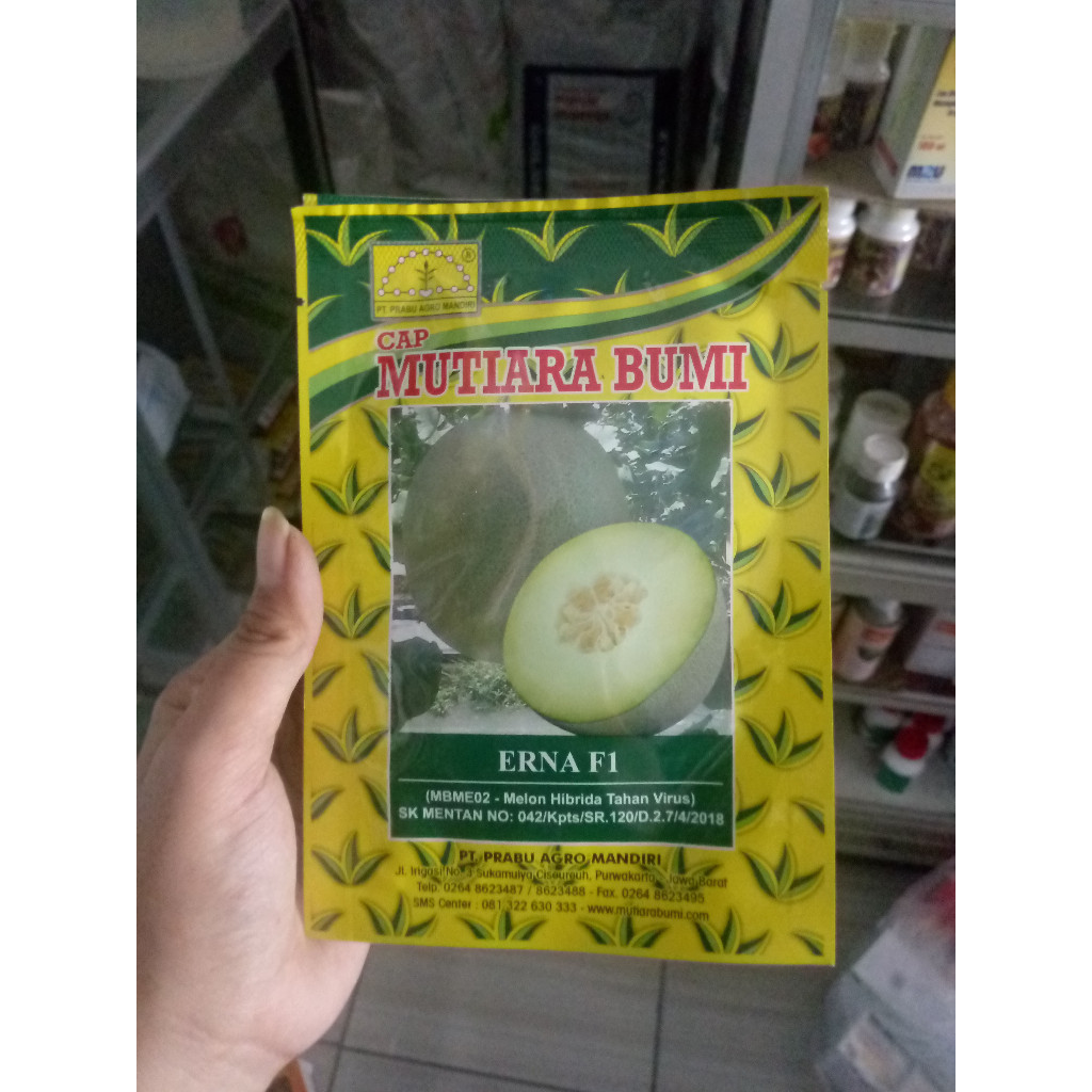 Benih Melon Hibrida Isi 10Gr ERNA F1 Cap Mutiara Bumi