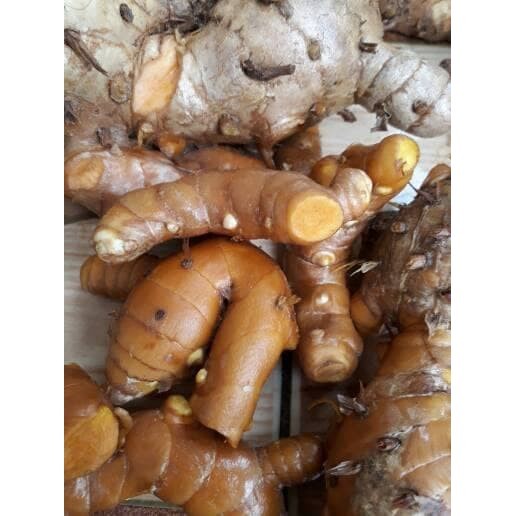 

Sahabattani temulawak/koneng gede/kunyit/temulawak segar 1kg
