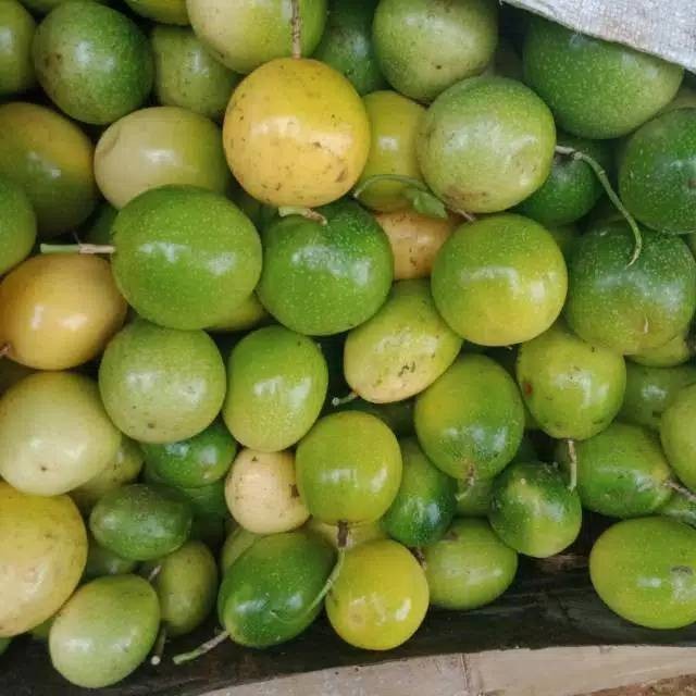 

Korehcok Promo Buah Saprola Atau Markisa Hutan Fres 5kg