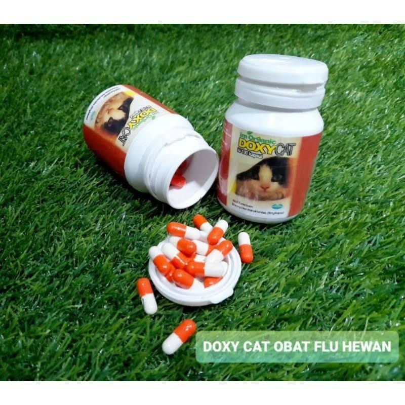 Obat Flu Kucing Doxy Cat 1 Botol 100 Kapsul Doxy Cat IM Organic DoxyCat