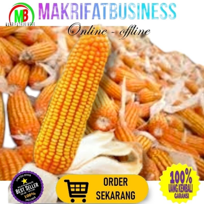 

IMRON PRIBADI Paket 1 kg JAGUNG PIPIL HIBRIDA Kwalitas Bersih Untuk Konsumsi Pakan Ternak Bibit Serta Keperluan lainnya