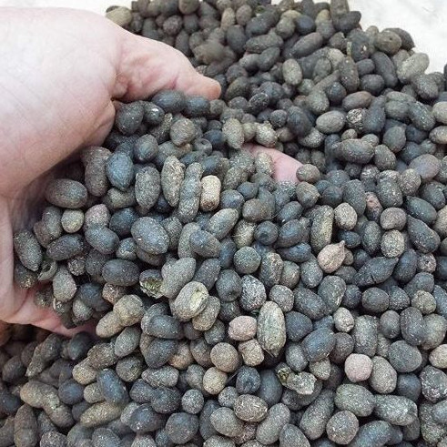 1kg Karung Pupuk Kandang Kambing Bulat - Srintil Kambing - Pupuk Kandang Siap Pakai