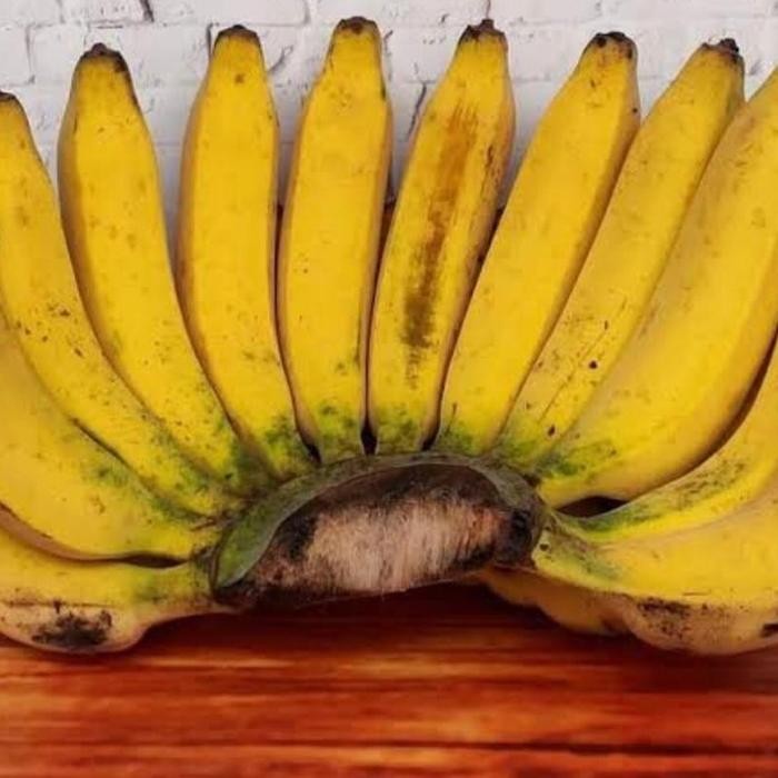 

Pisang Raja Bulu 1 Sisir