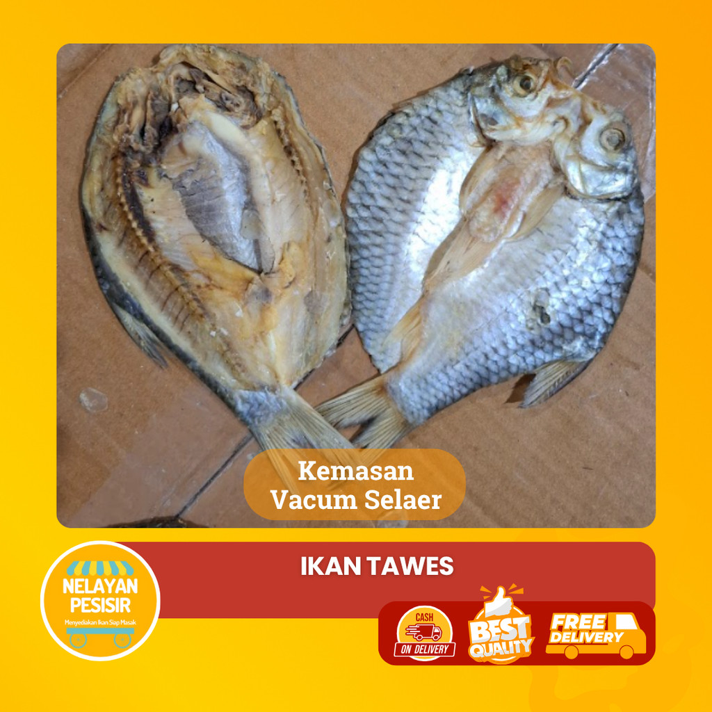 

Ikan Asin Tawes Belah Kualitas Super Gurih dan Renyah Tanpa Pengawet