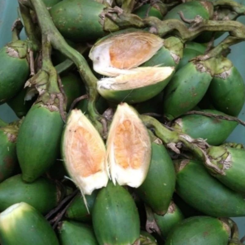 

Promo COD-COD Ready 500grak Buah Pinang jame muda bisa cod LK STORE