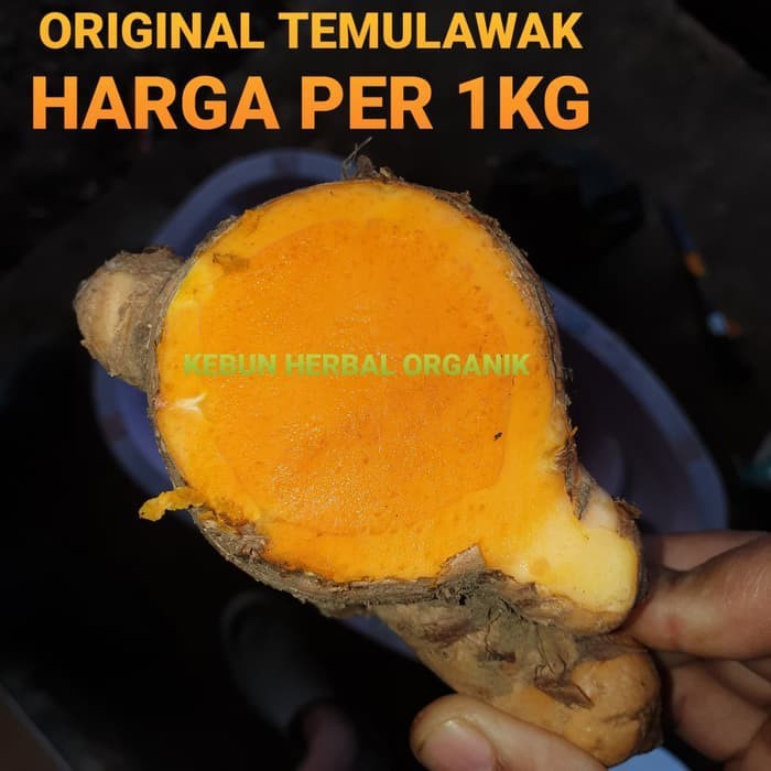 

OHI Promo Temulawak Temu Lawak Segar Organik 1kg KC