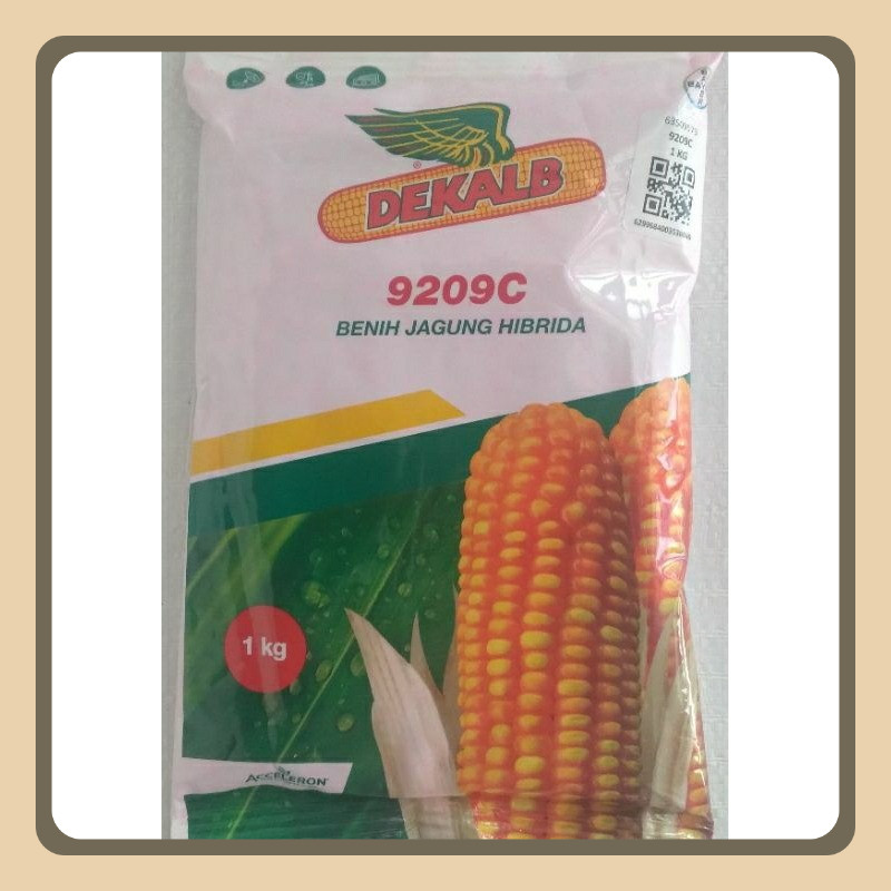 

Benih Jagung DEKALB 9209C @1 kg