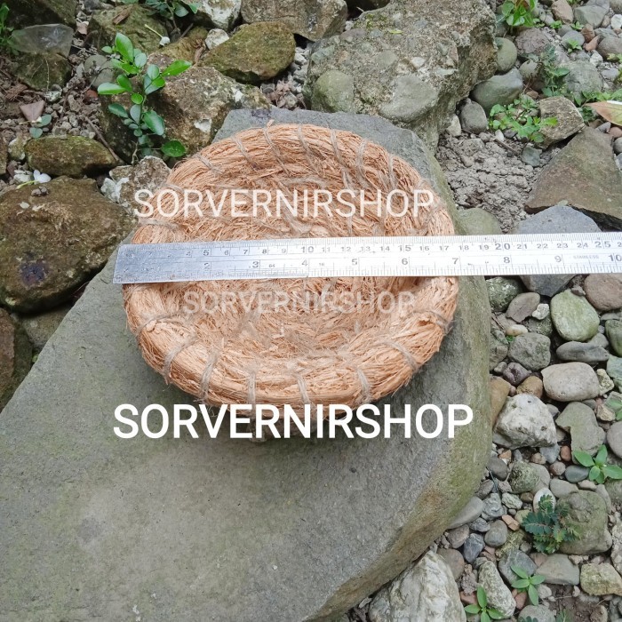 sarang burung perkutut sabut kelapa tarangan burung perkutut