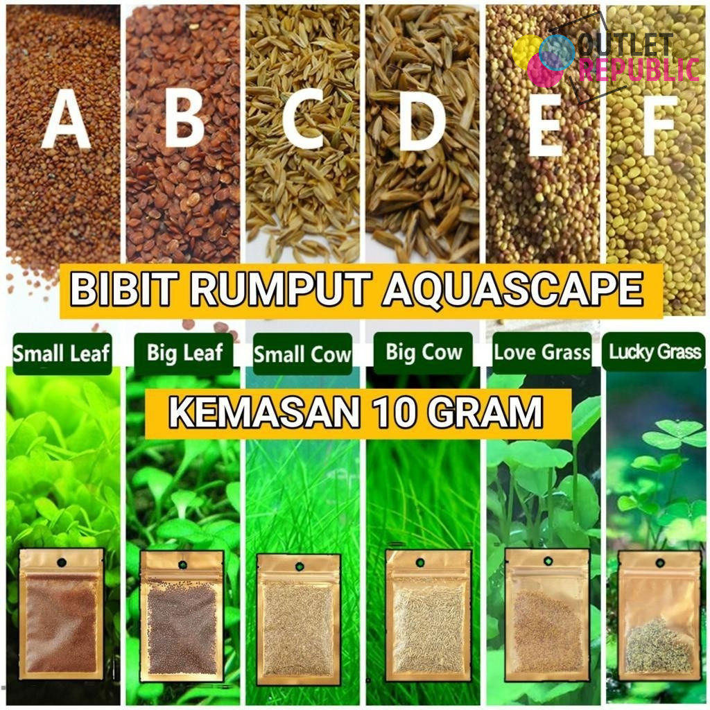 Bibit Rumput Aquascape Benih Bibit Rumput Aquarium - OR